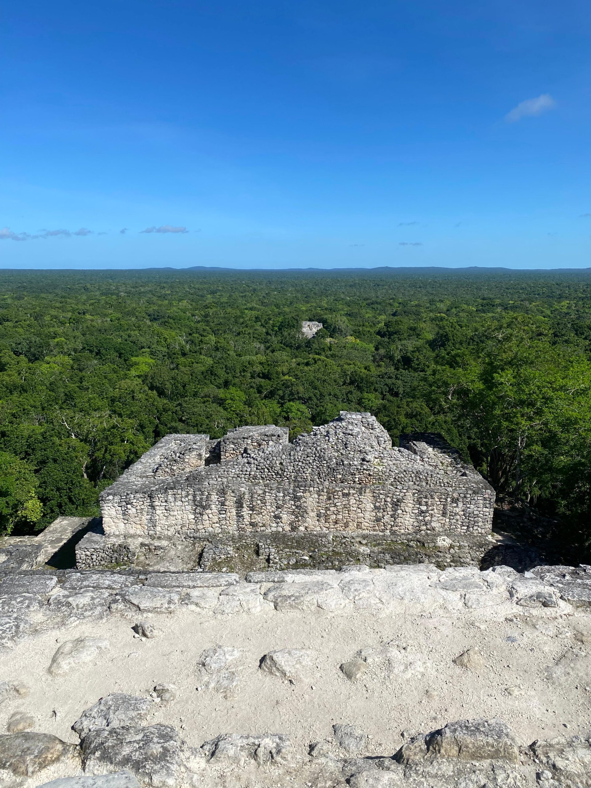 Calakmul Mexiko – Die verborgene Maya-Stadt im Dschungel